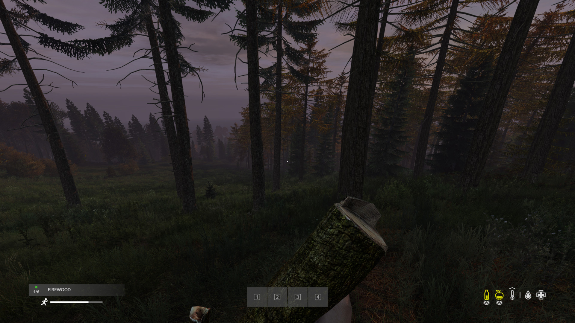 Running DayZ Interface In Game