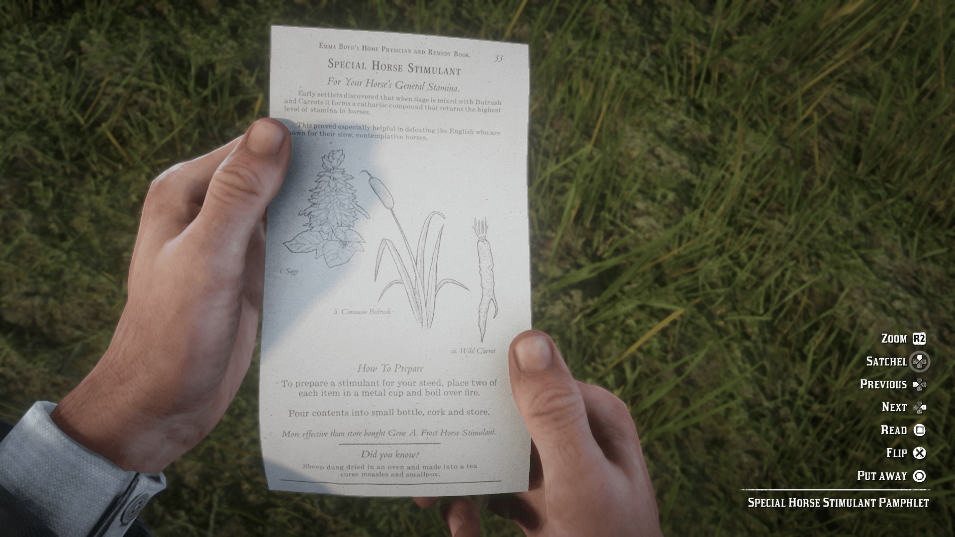 HUD Red Dead Redemption 2 Interface In Game