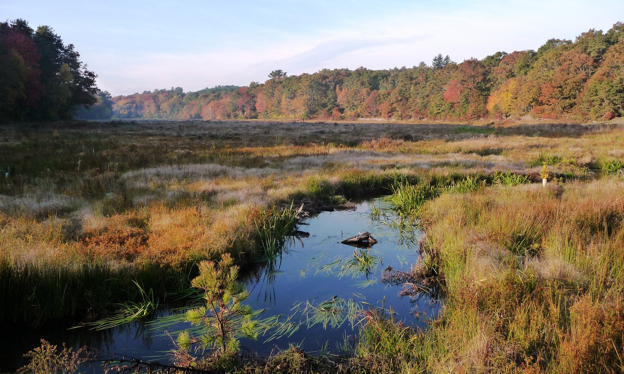 Eel River Headwaters Restoration & Sawmill Dam Removals InterFluve