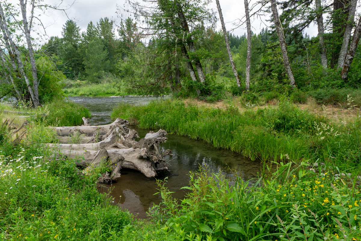 Milo McIver Fish Enhancement Project, Clackamas River, Oregon Interfluve