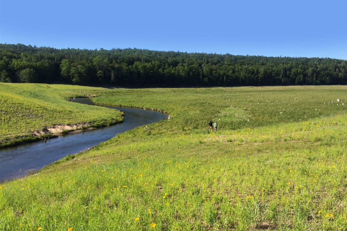 Boardman River Dam Removals, Michigan Interfluve
