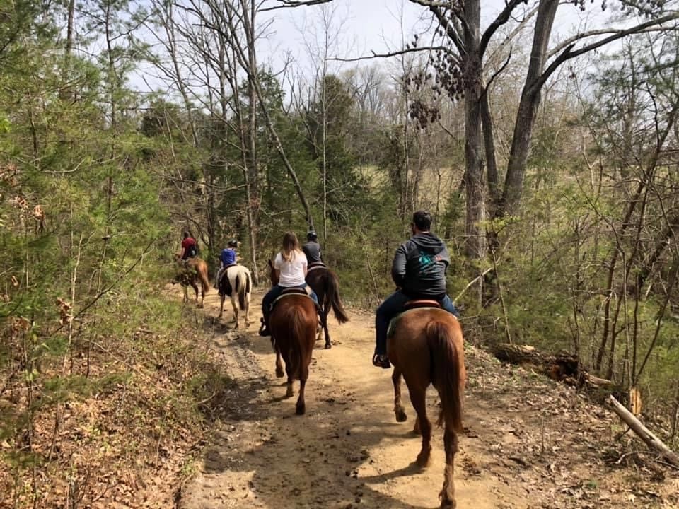 Tennessee Summer Bucket List Interior Anthology