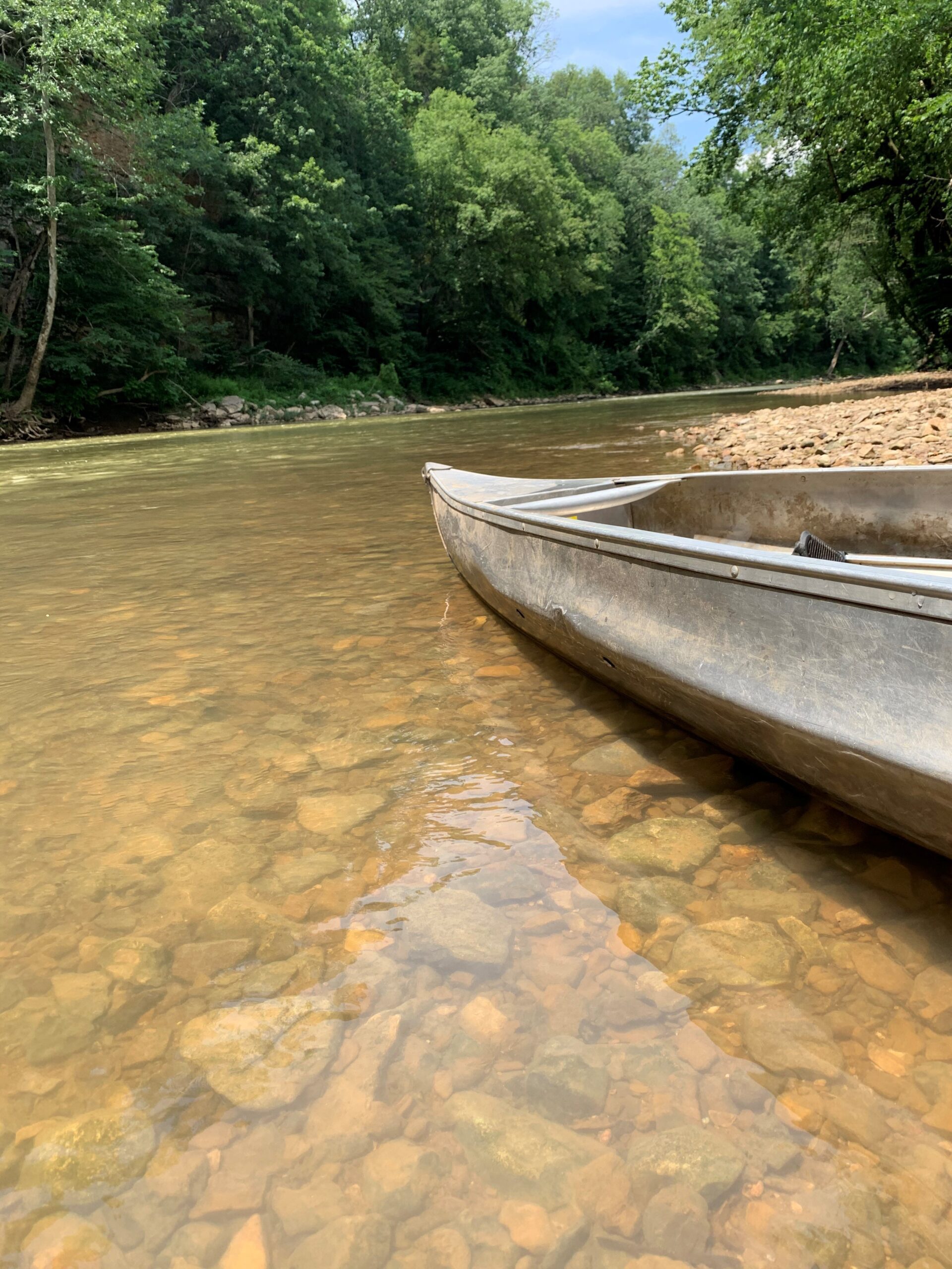 Tennessee Summer Bucket List Interior Anthology