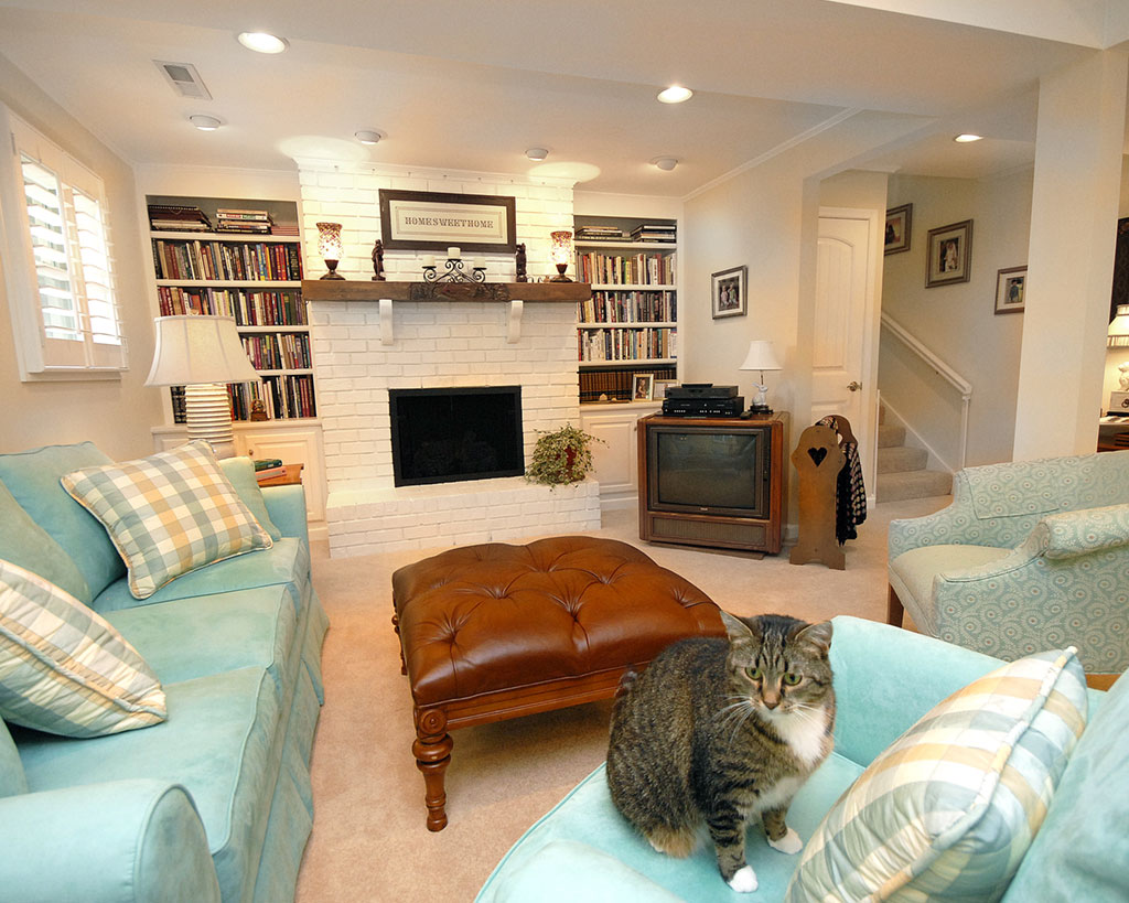 Lower Level Family Room Interior Concepts and Design