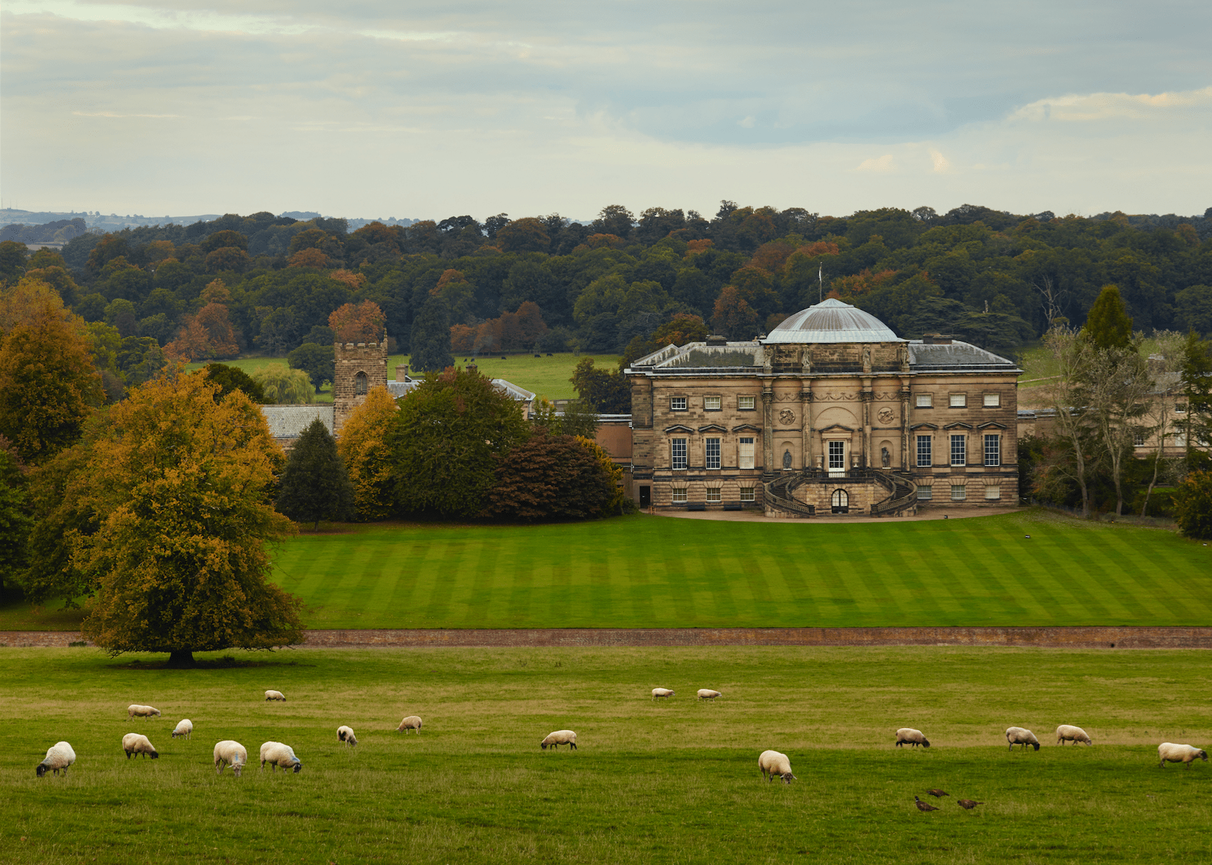 Robert Adam Country House Design, Decoration & the Art of Elegance