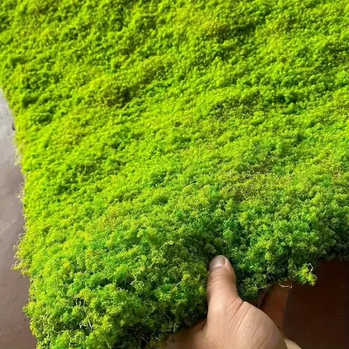 Artificial Moss Grass 1 Best Artificial Moss Wall Panels