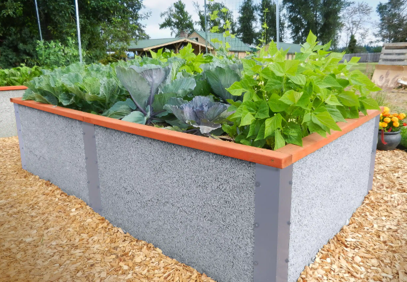 The Top 5 Plants for Raised Garden Beds What to Grow for a Bountiful