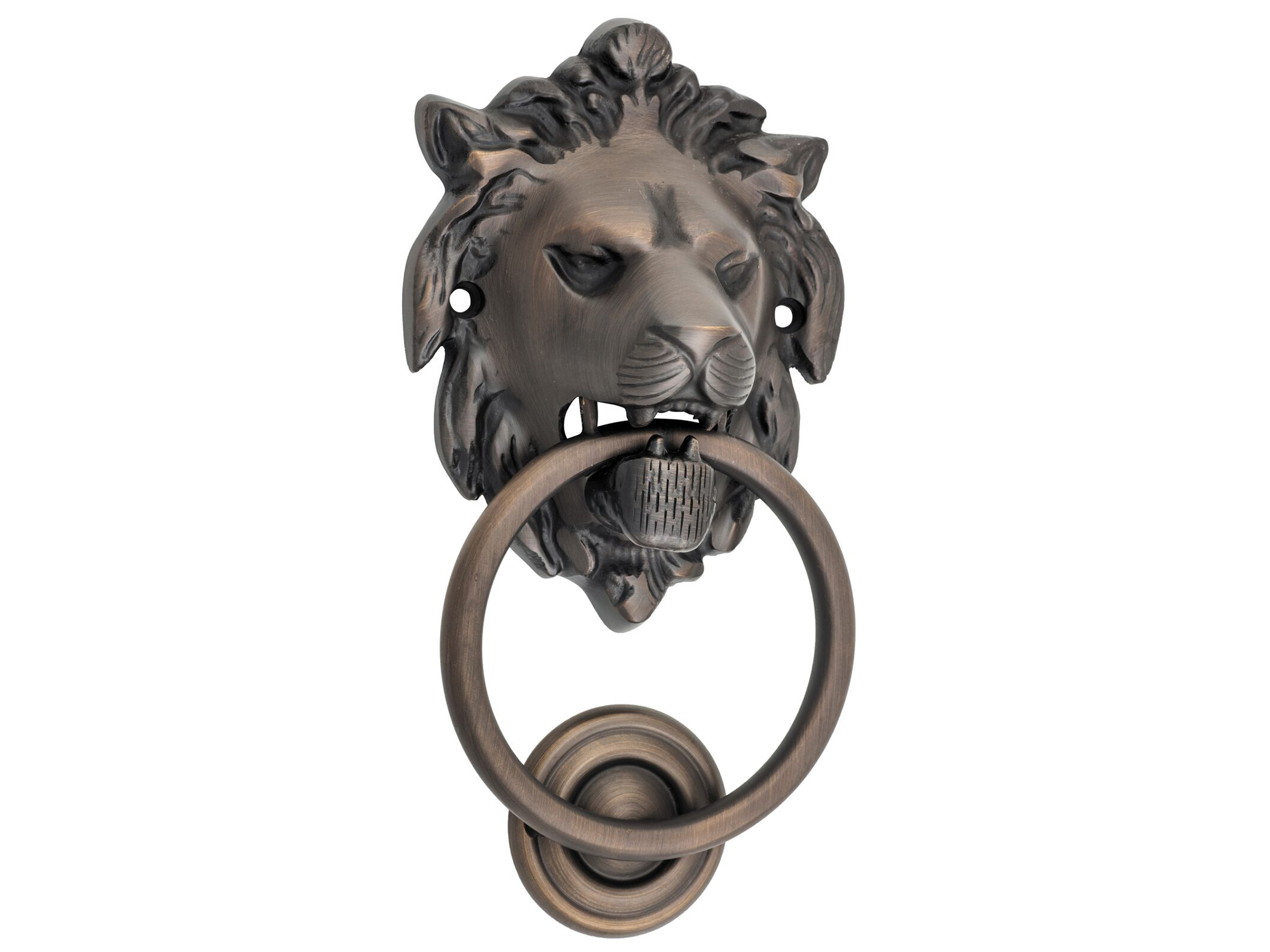 Lion Door Knocker Interior Effects