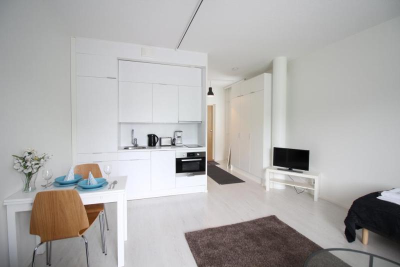 How to Decorate a One Room Apartment? Interior God