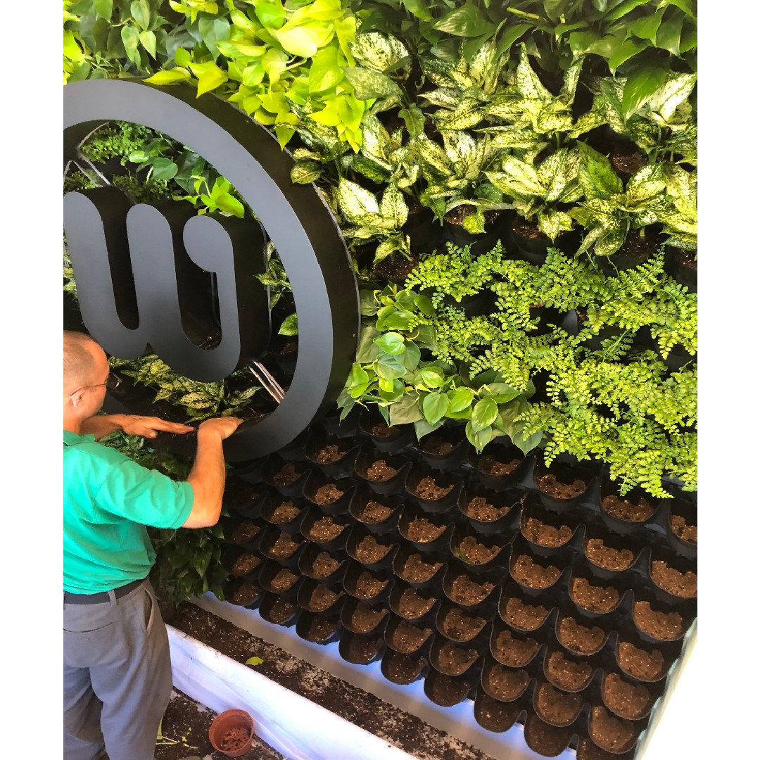 Living Wall Installation Interior Plant Service Interiorscapes