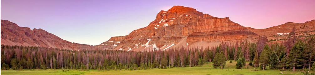 5th Annual Adult & Pediatric Psychiatry Learning Symposium Day Intermountain Healthcare
