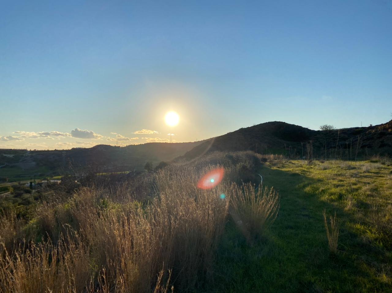 cyprus real estate agents, real estate agents in cyprus