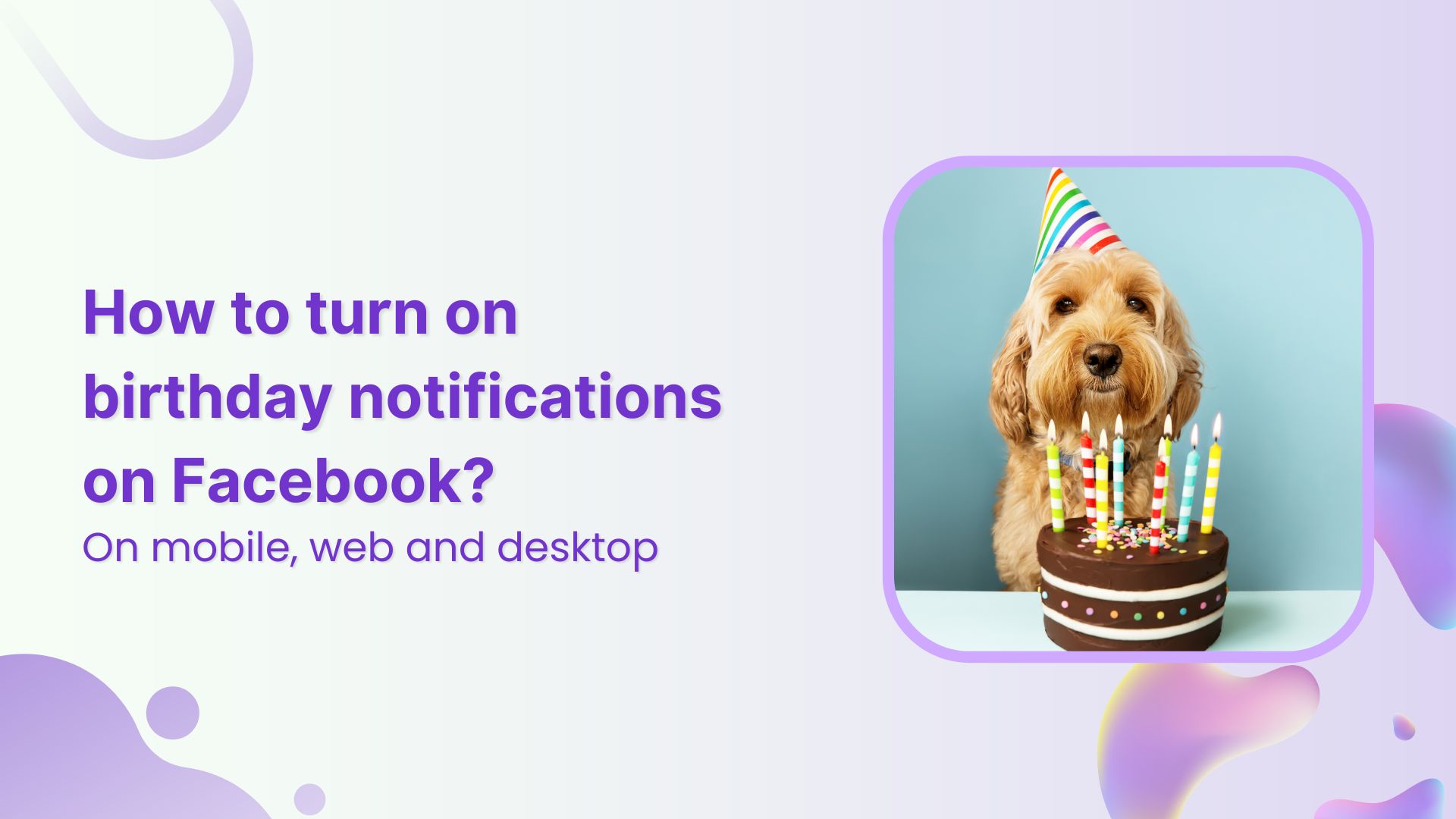 How to turn on birthday notifications on Facebook? ContentStudio