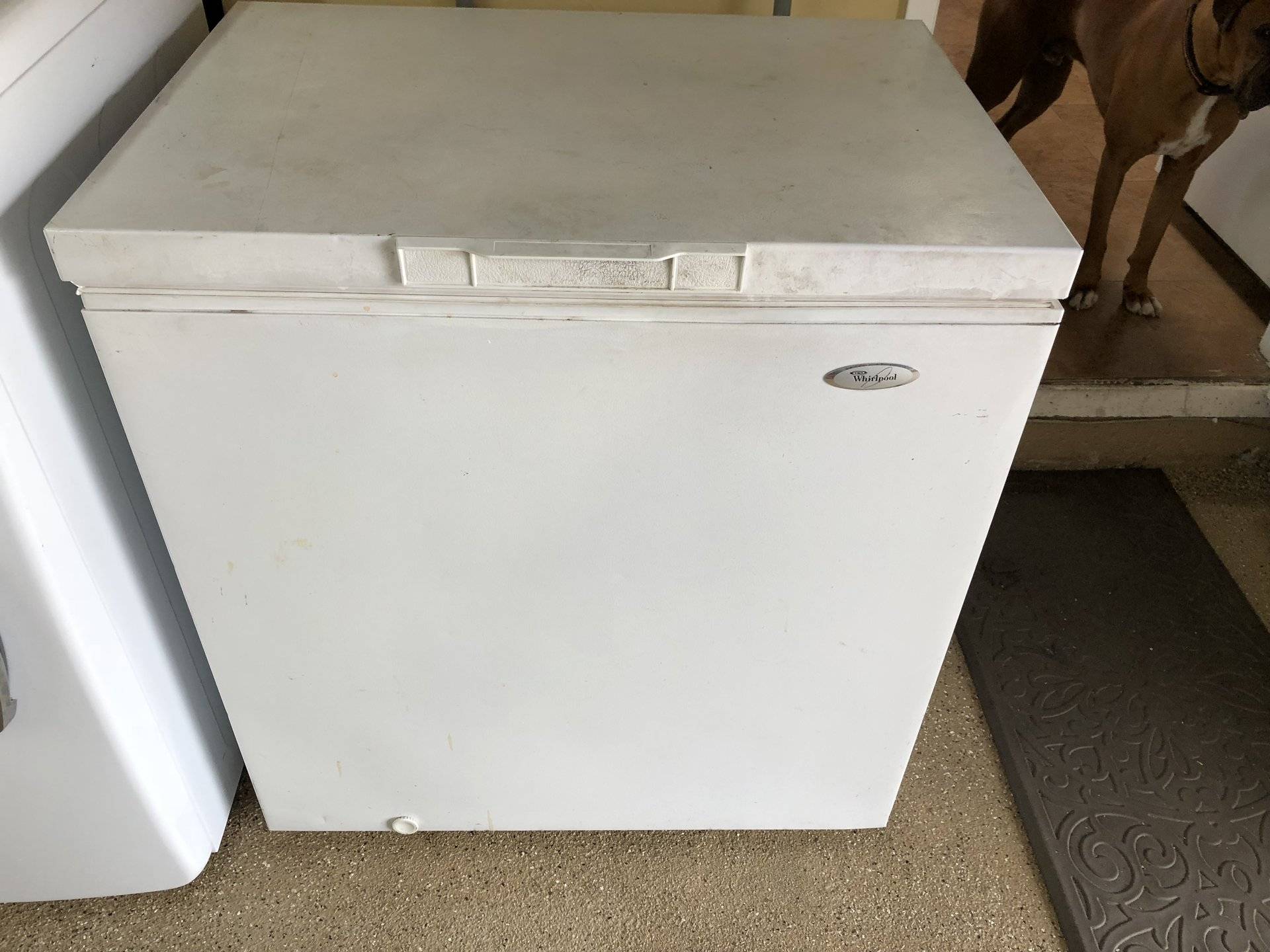 For Sale STAND UP AND CHEST FREEZER Bloodydecks