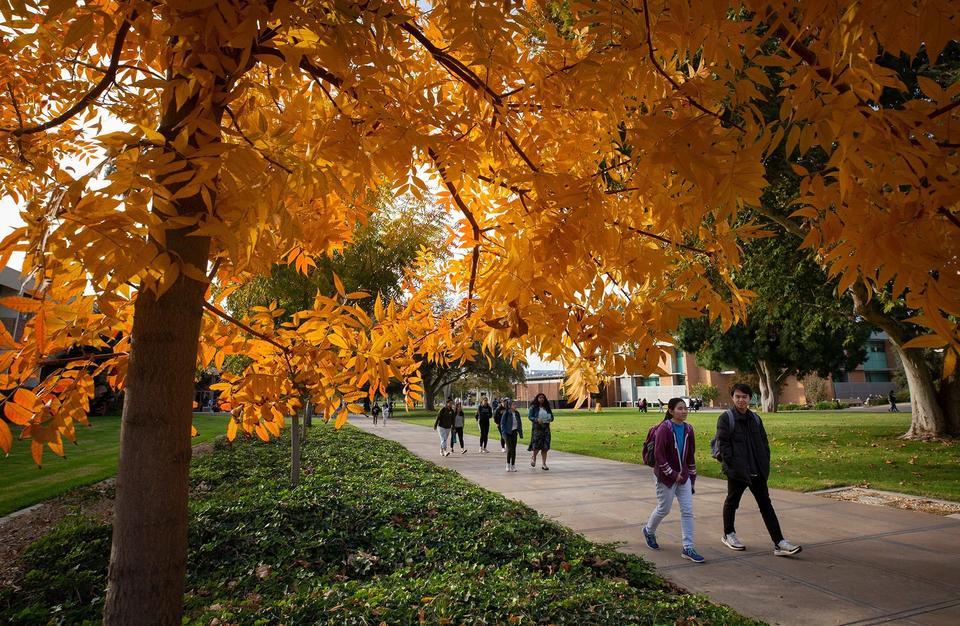 What We Do | UCR International Affairs