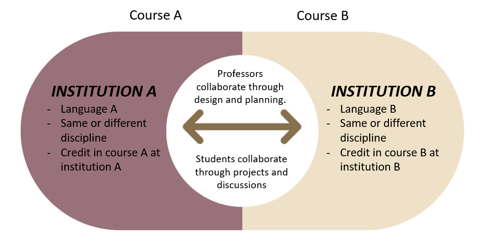 Collaborative Online International Learning (COIL) Internationalization