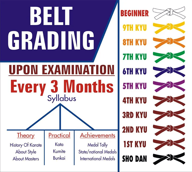 Belt Grading International Karate