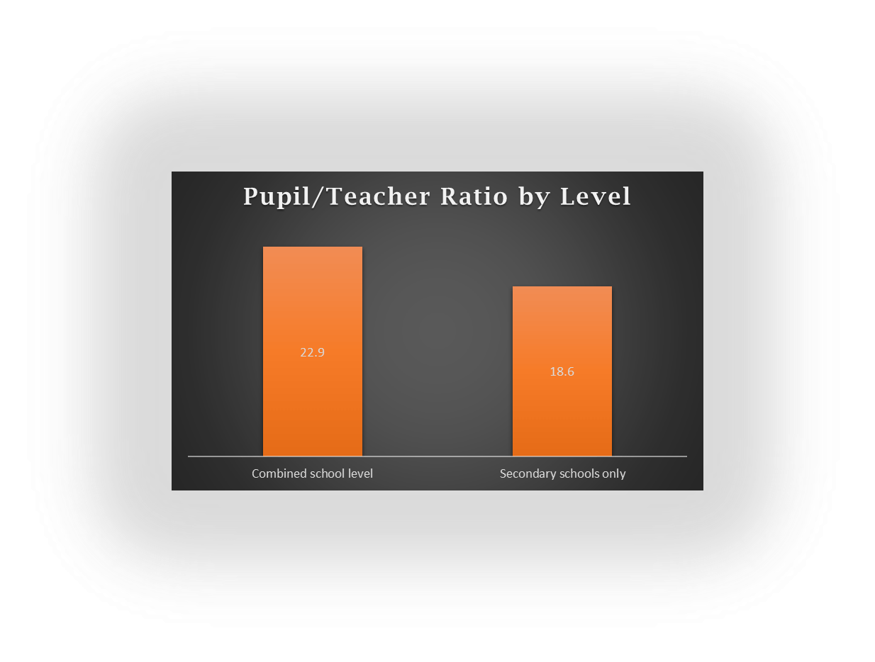 Is K 12 virtual School The Right Choice For You