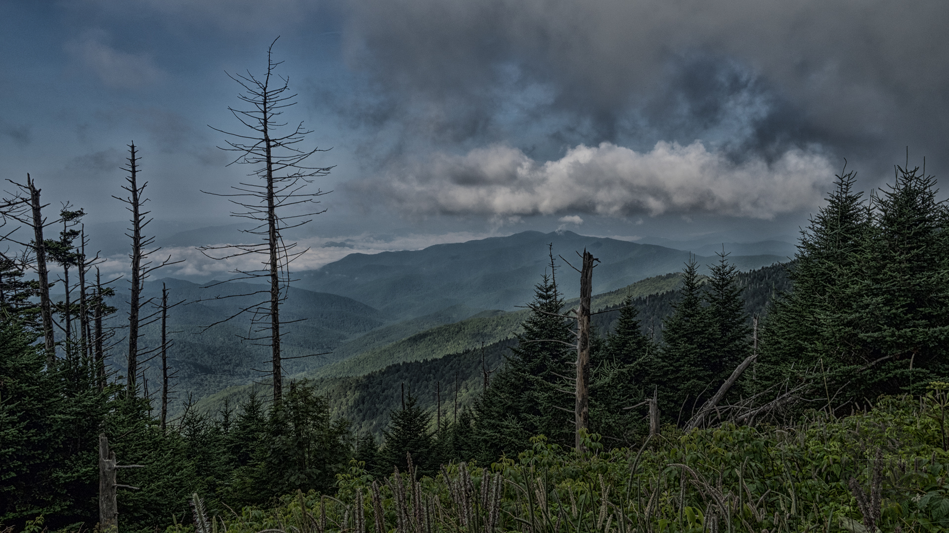 Meanderthals Appalachian Trail from Clingmans Dome to Newfound Gap