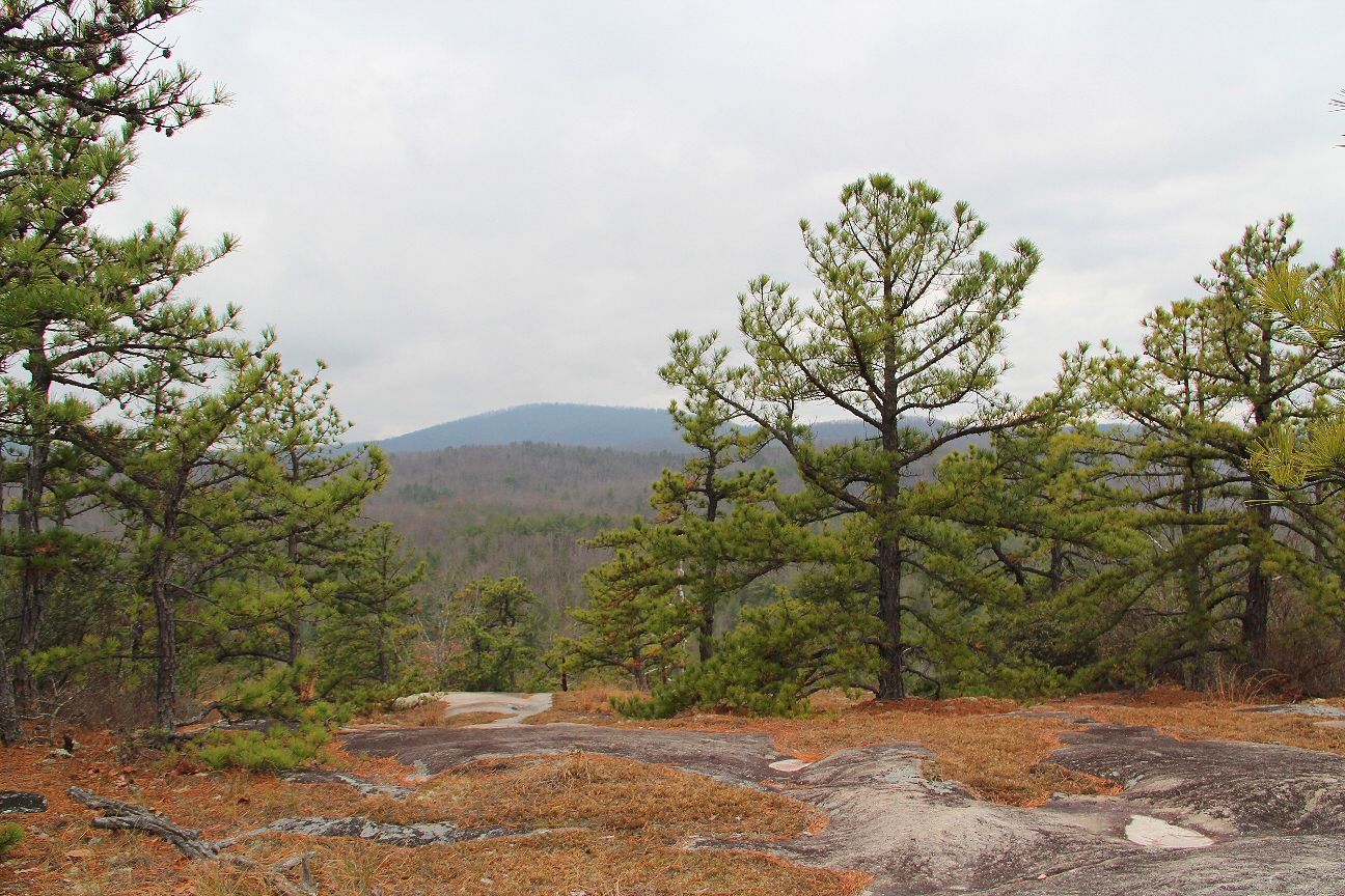 meanderthals-corn-mill-shoals-trail-little-river-trail-cedar-rock