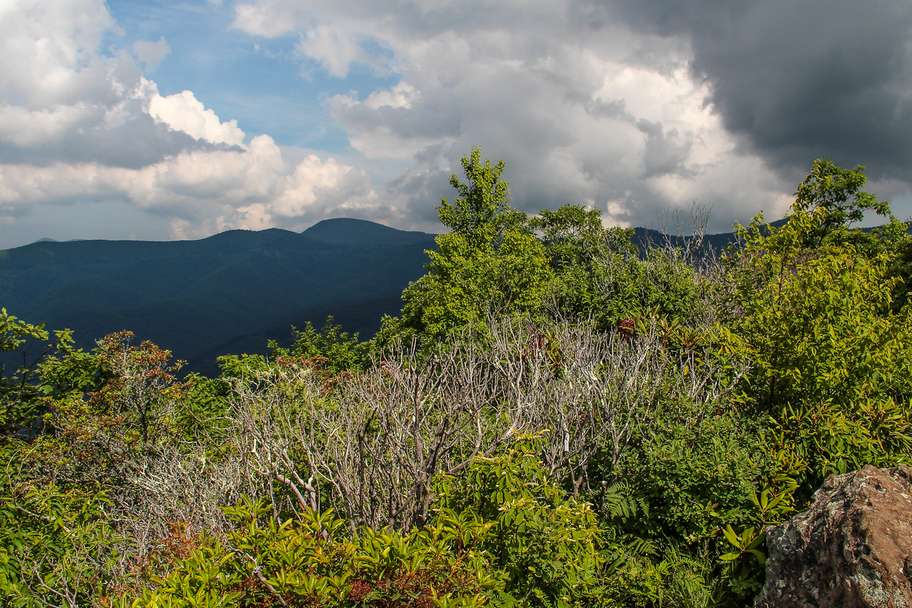 Meanderthals Art Loeb Trail to Pilot Mountain, Pisgah National Forest