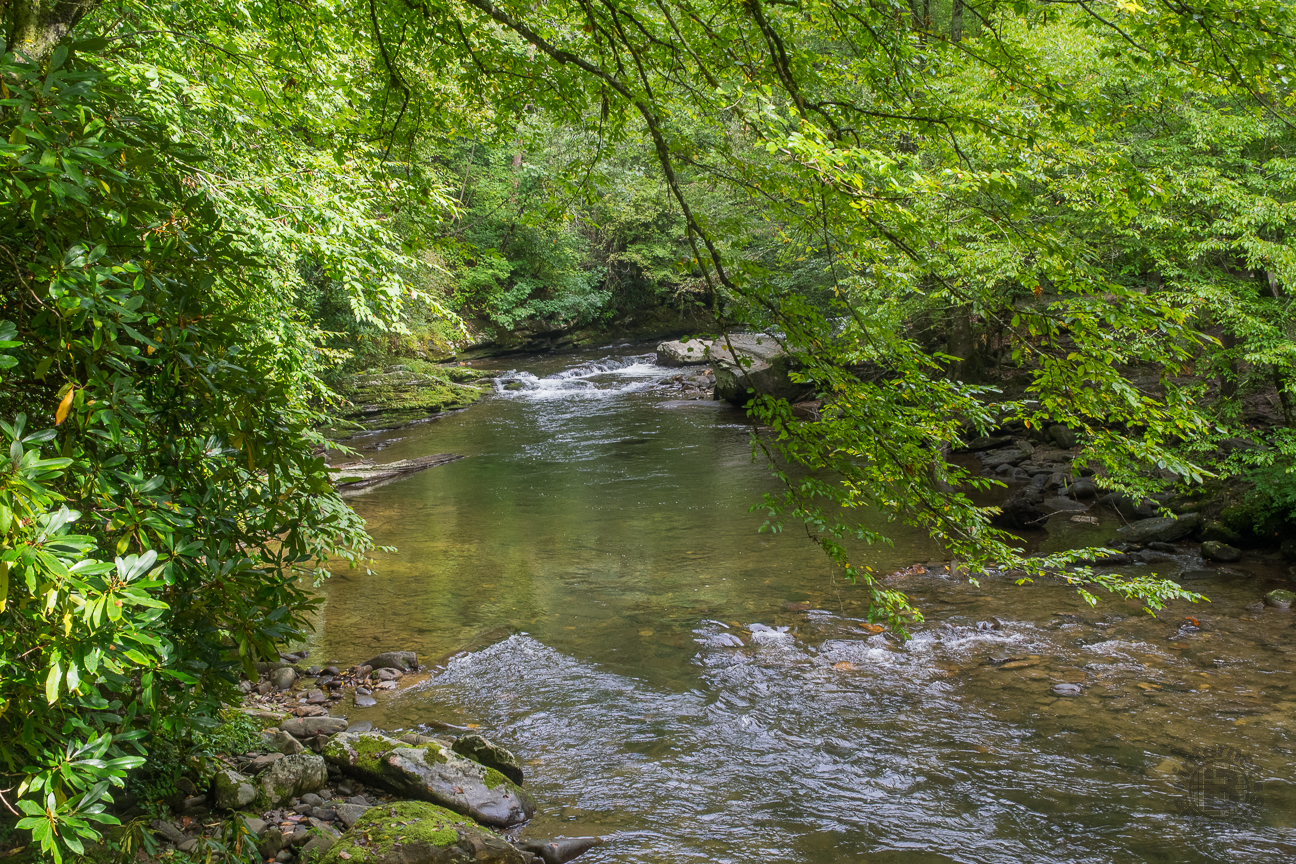 Meanderthals Deep Creek Waterfalls, Great Smoky Mountains National Park