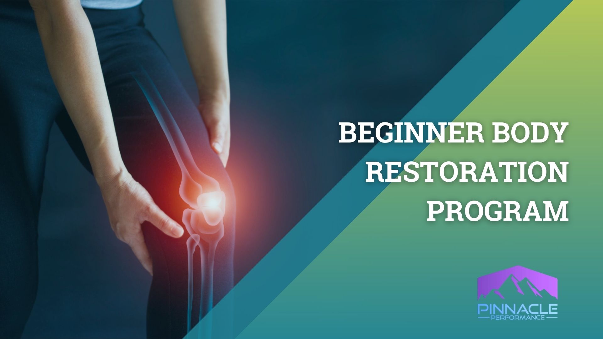 Conor Harris Beginner Body Restoration Program of Learning