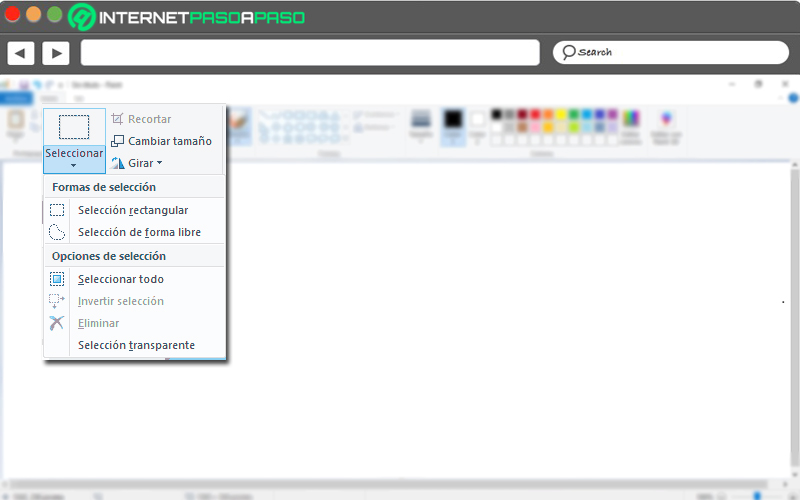 Paint What is it, what is it for and what are the best tricks to take