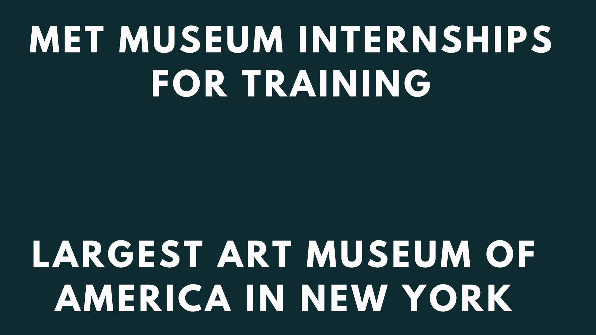 Met Museum Internships 2024 Professional Experience Internship Sphere