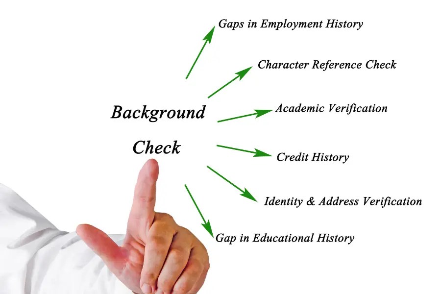 Understand the Differences Background Check vs Reference Check