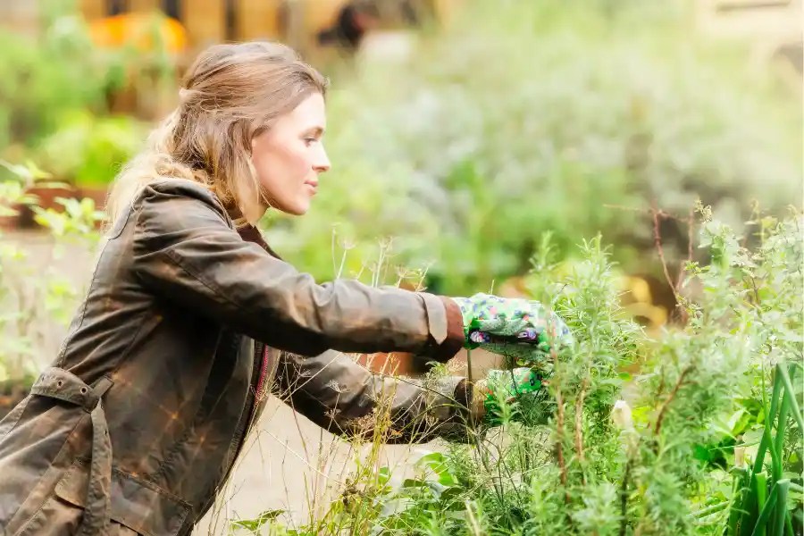 Looking to Work Outdoors? Top Tips for Finding a Job With a Breath of