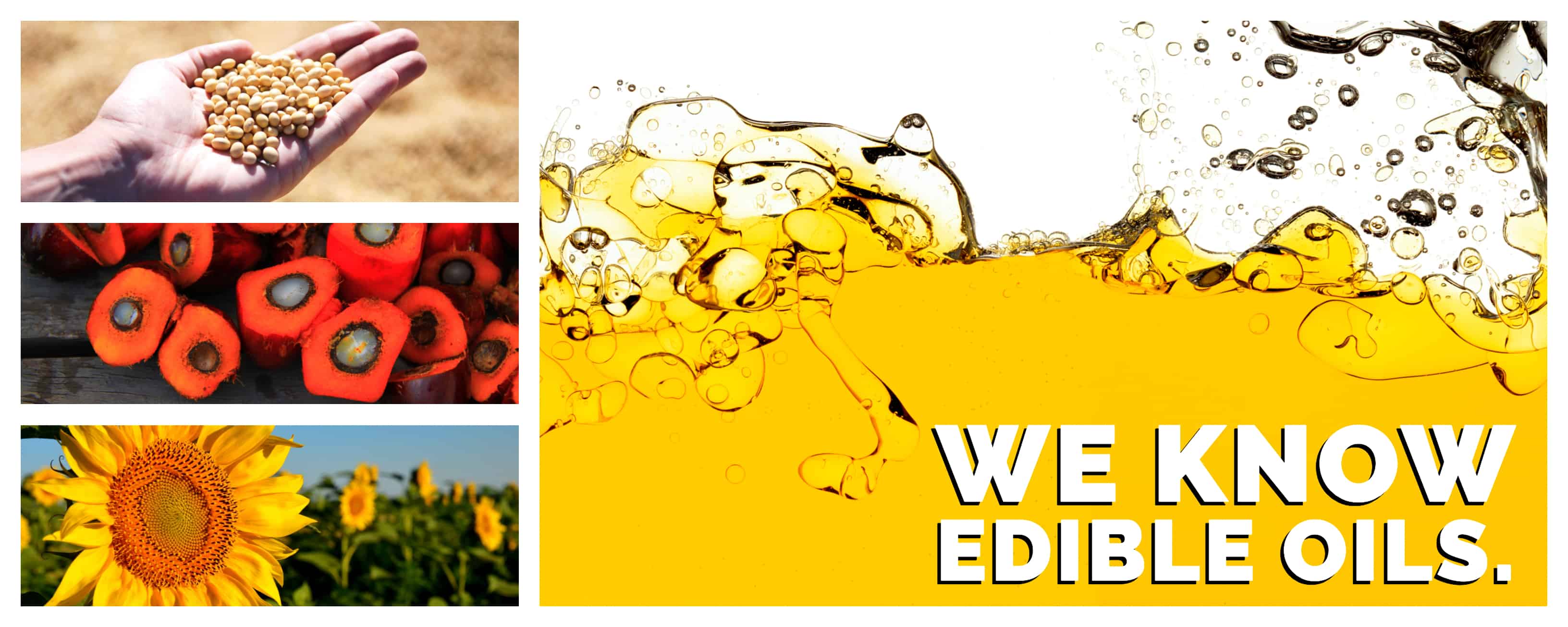 Edible Oils and Fats Interra International