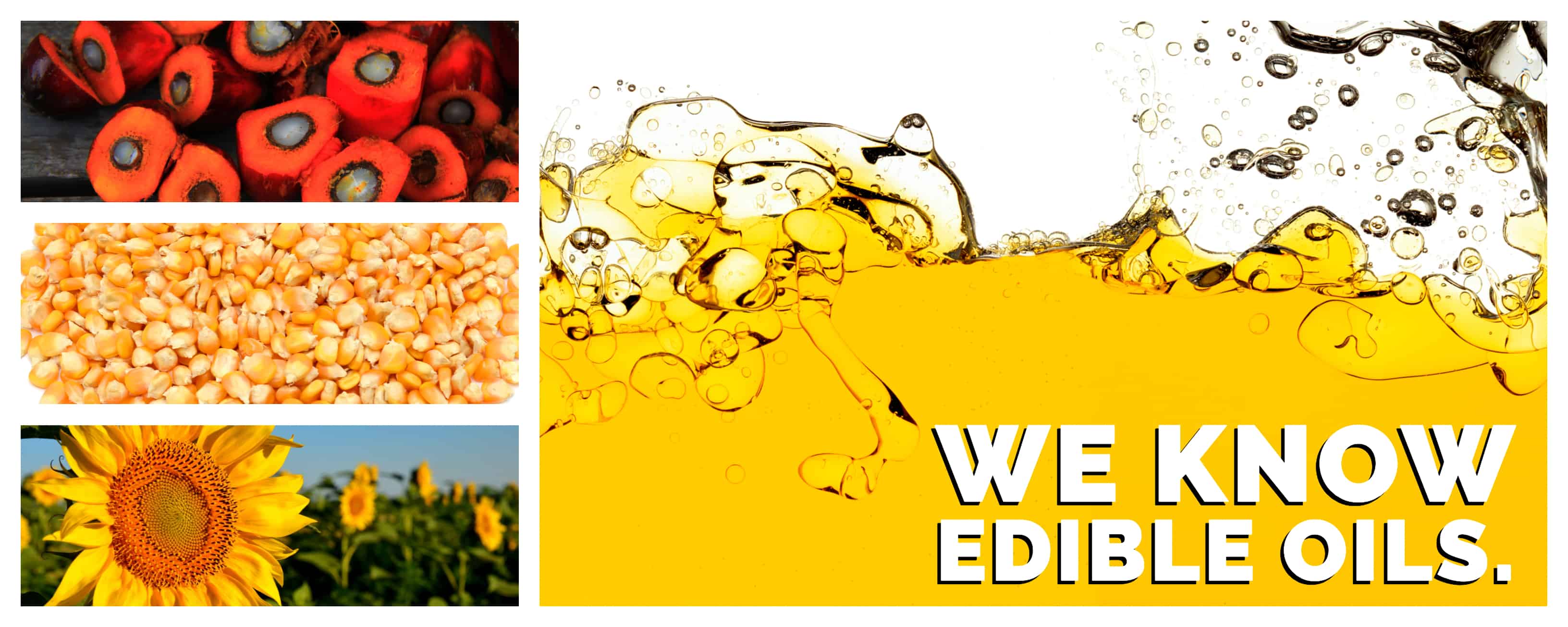 Edible Oils Interra International Global Distributor of Oils
