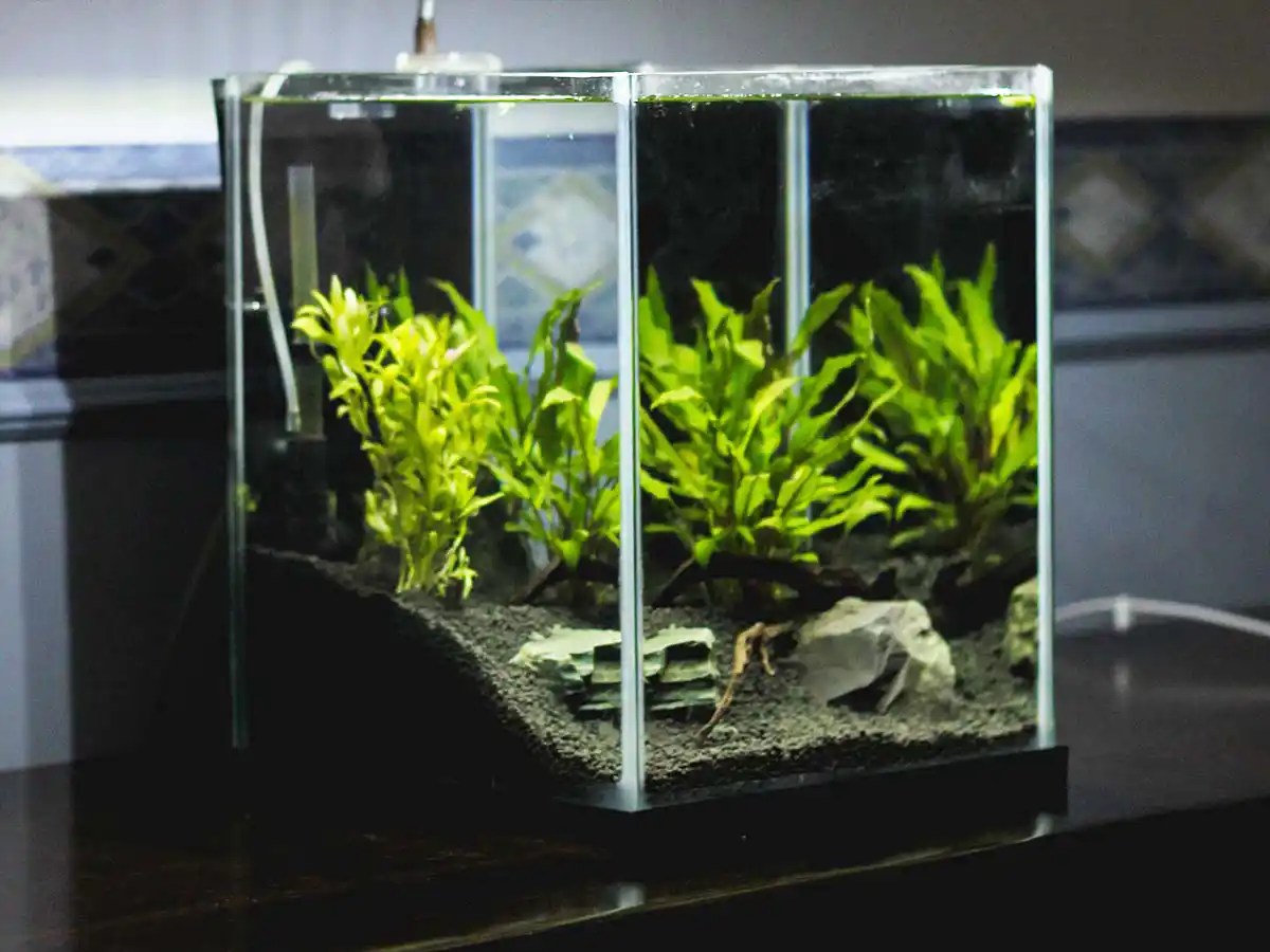 Aquarium Designs and Construction Materials