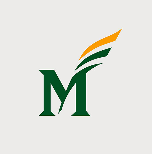 Mason University Interstride