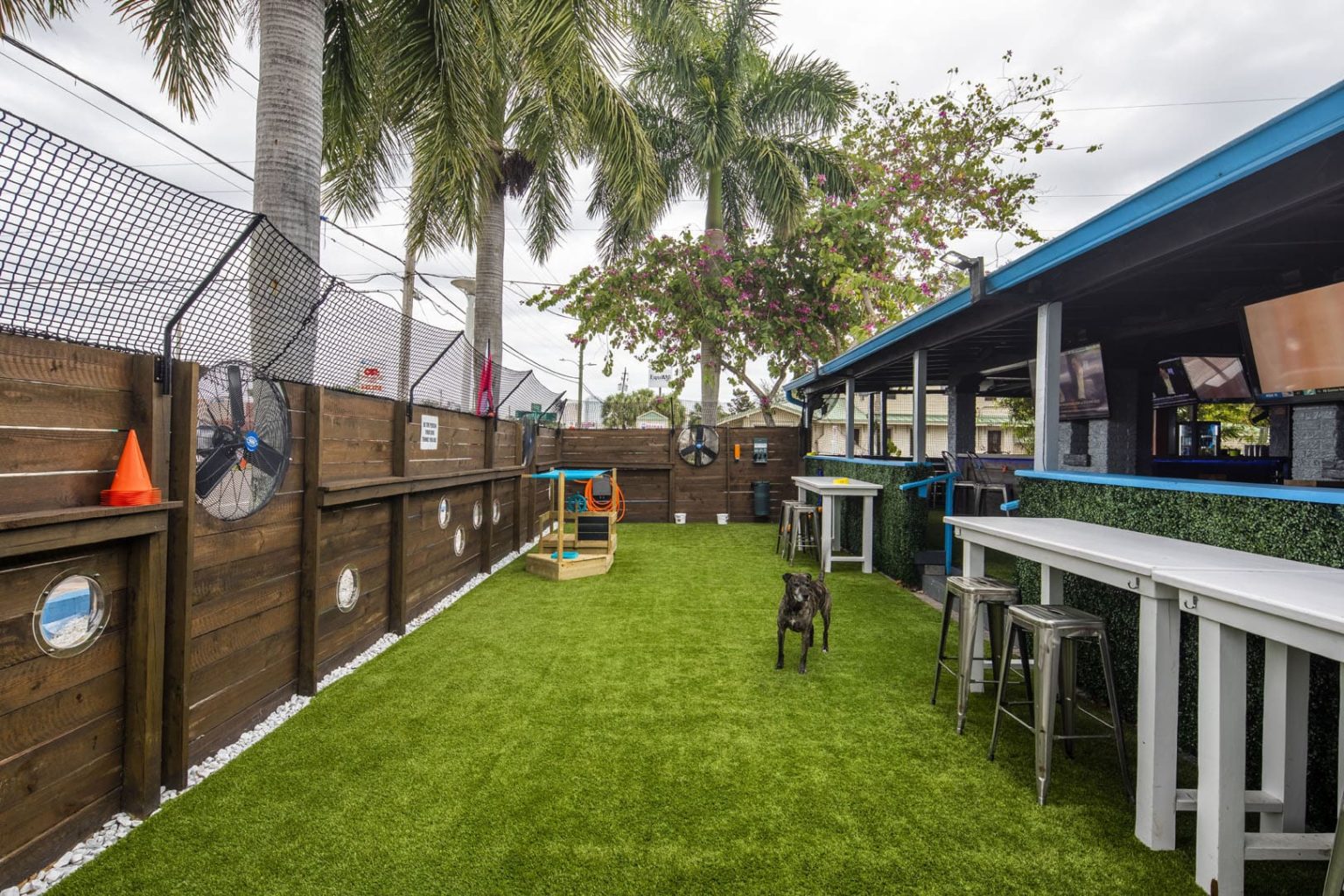 Pups Pub Tampa Interstruct