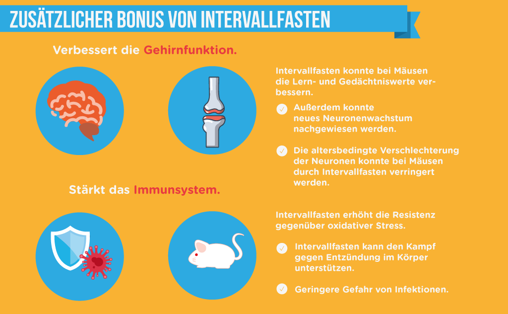 Intervallfasten Alle Vorteile, Nachteile & Anleitungen vom Guru