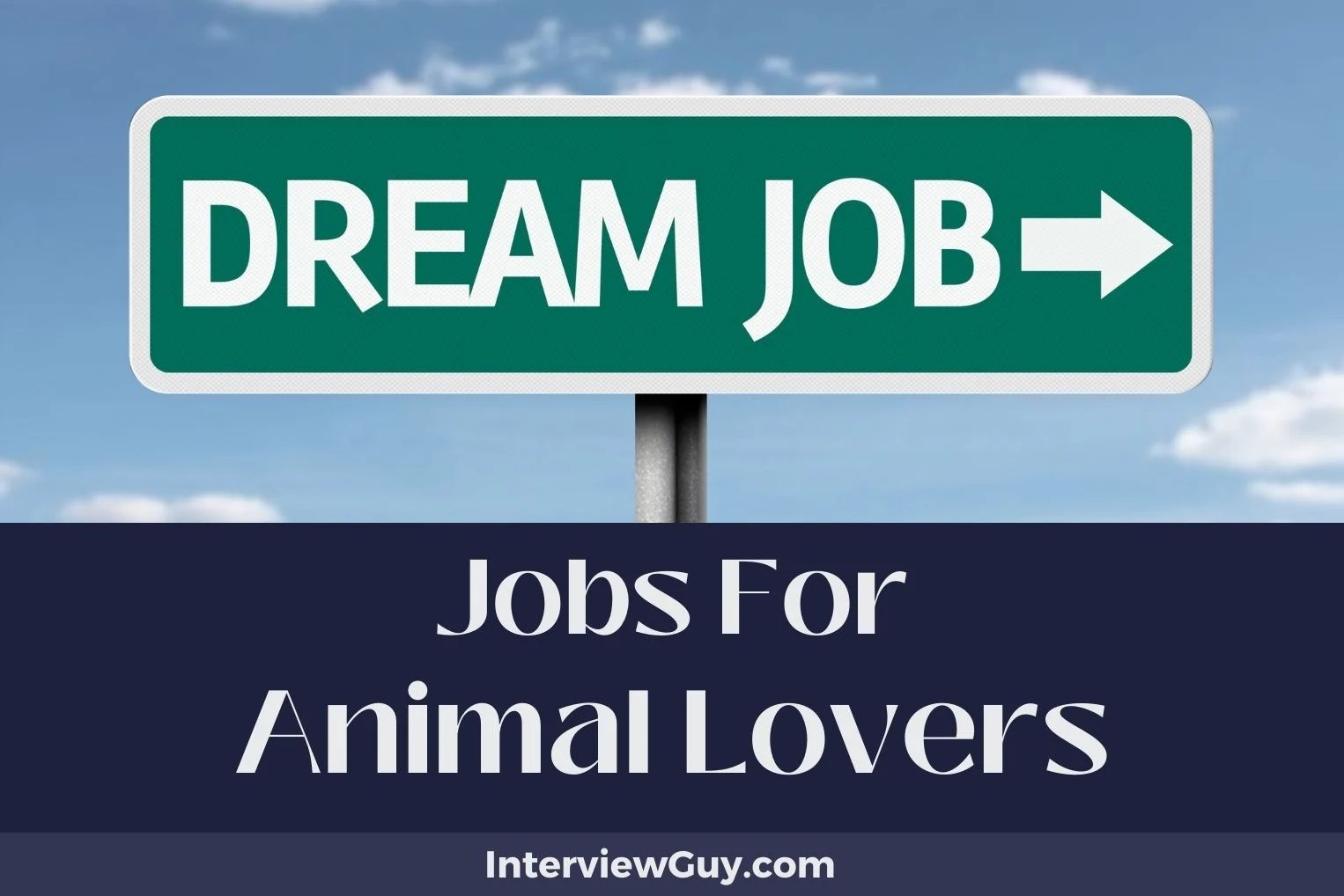 28 Jobs For Animal Lovers (Pawsitive Careers!)