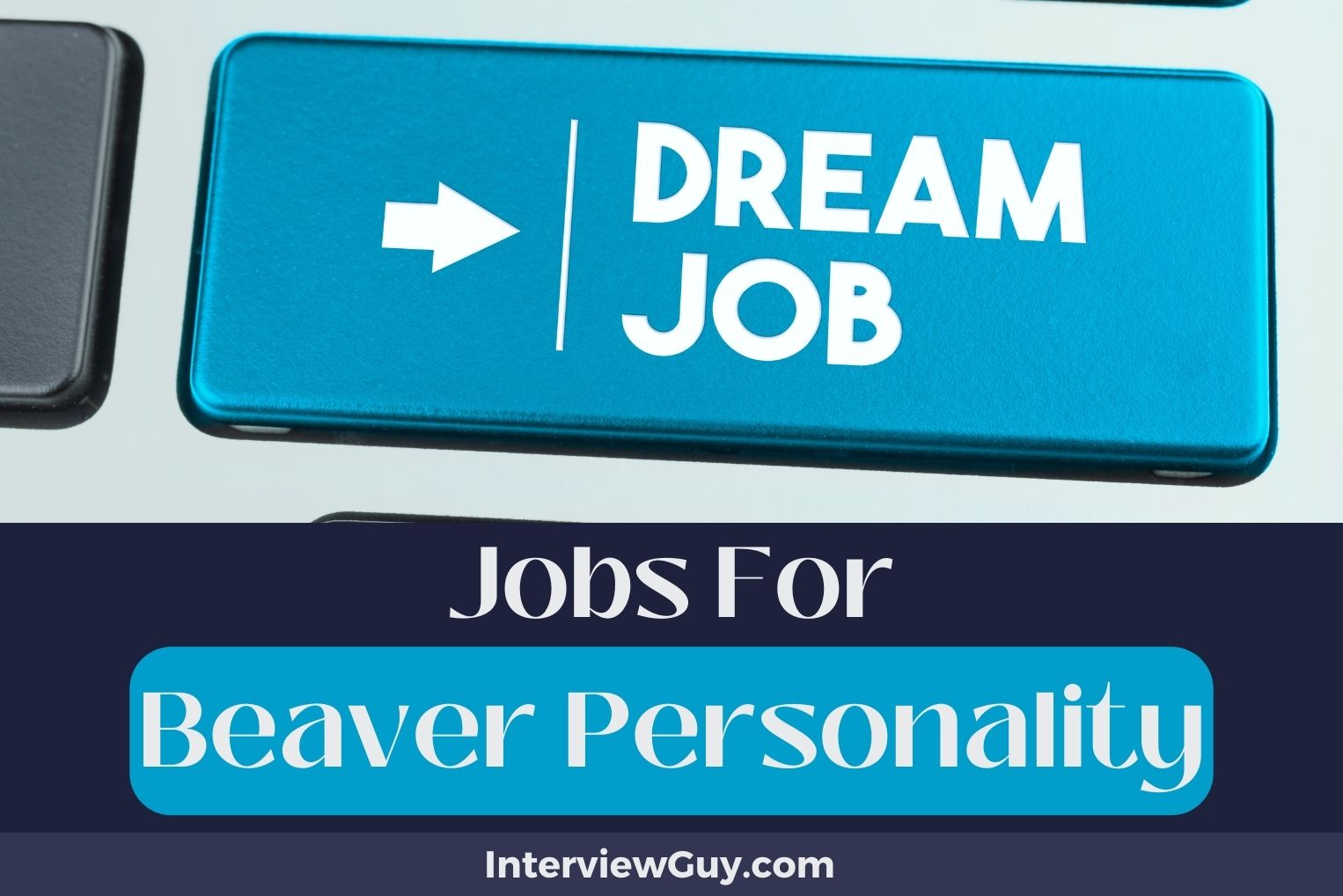 32 Jobs For Beaver Personality (Gnawing Through Goals)