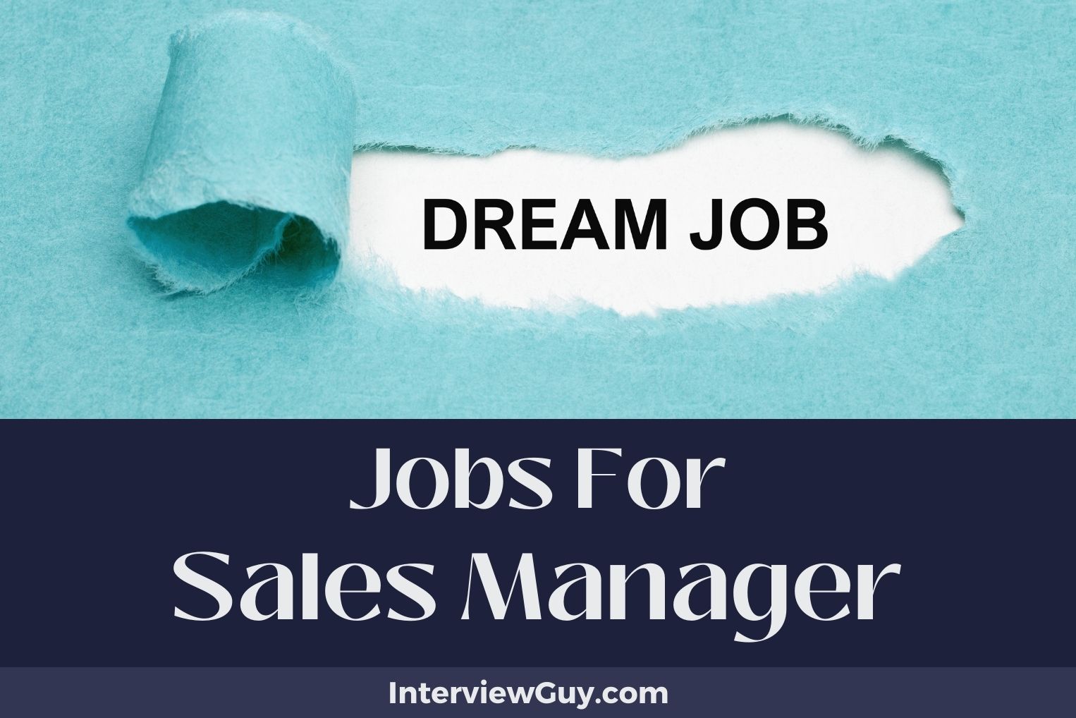 53 Jobs For Sales Manager (Negotiation Navigators Needed)
