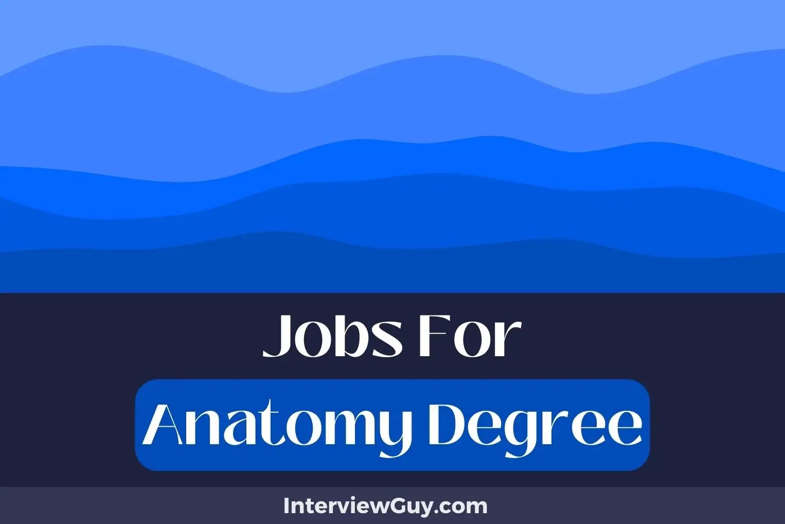 28 Jobs For Anatomy Degree (Anatomical Architects)