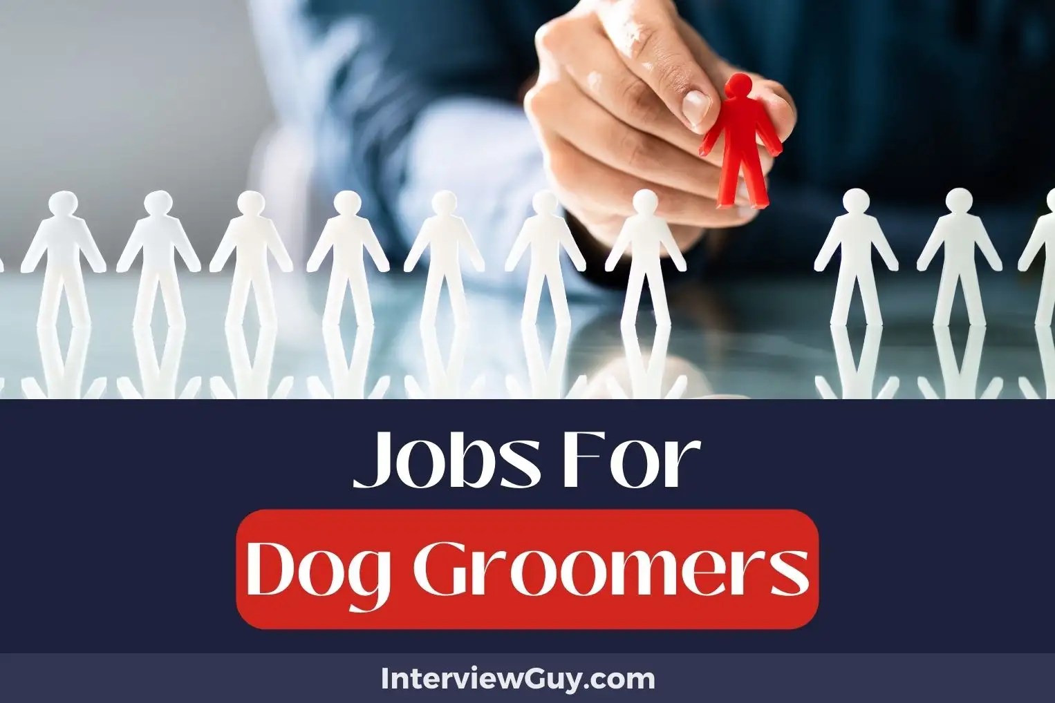 35 Jobs For Dog Groomers (Canine Career Paths!)