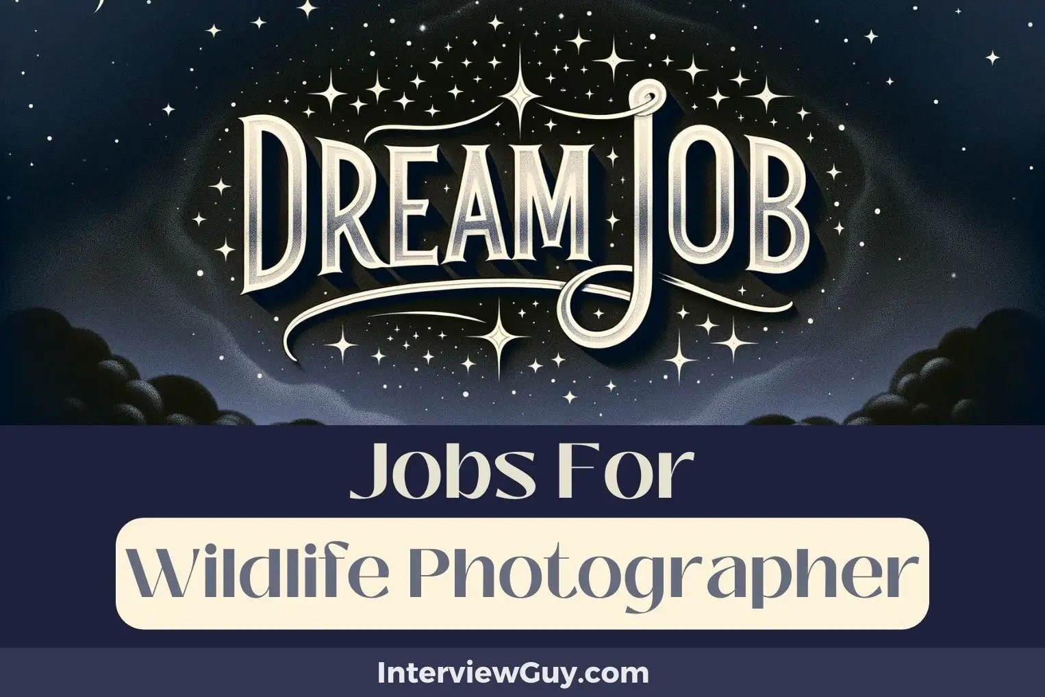 35 Jobs For Wildlife Photographers (Earn in the Wild)