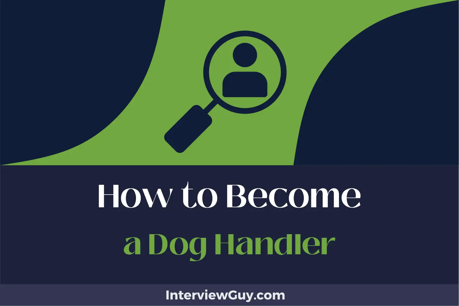 How to a Dog Handler (Unleash Your Canine Career!)