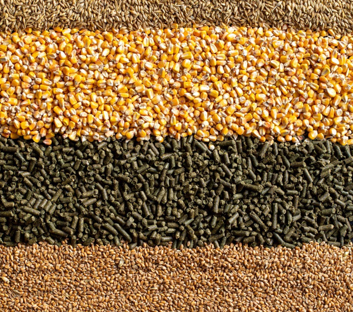 Plan de résilience Aide à l’alimentation animale INTERVIG