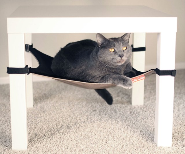 The Cat Crib The Interwebs Store