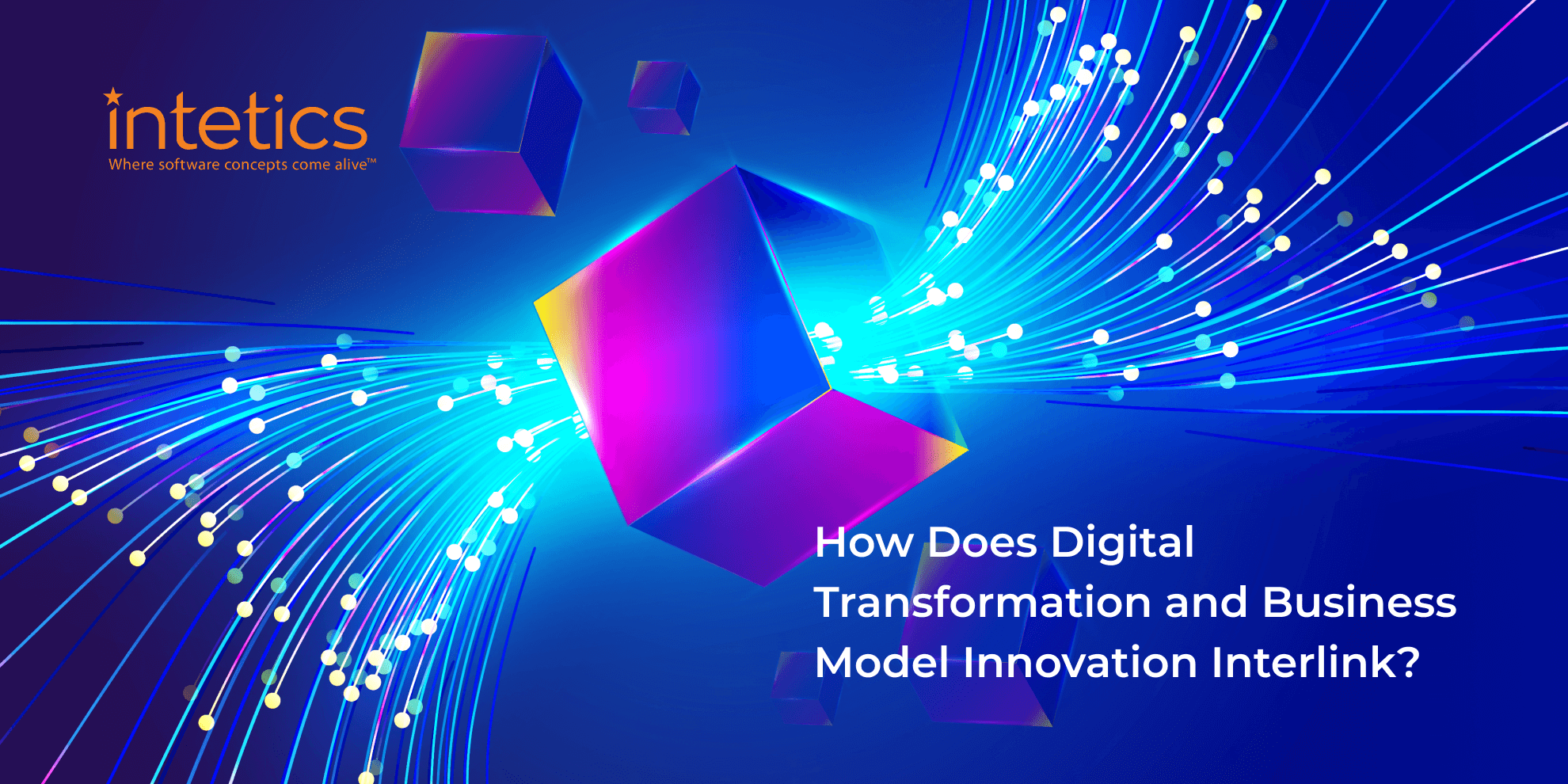 Intetics on the Intricacies of Digital Business Models