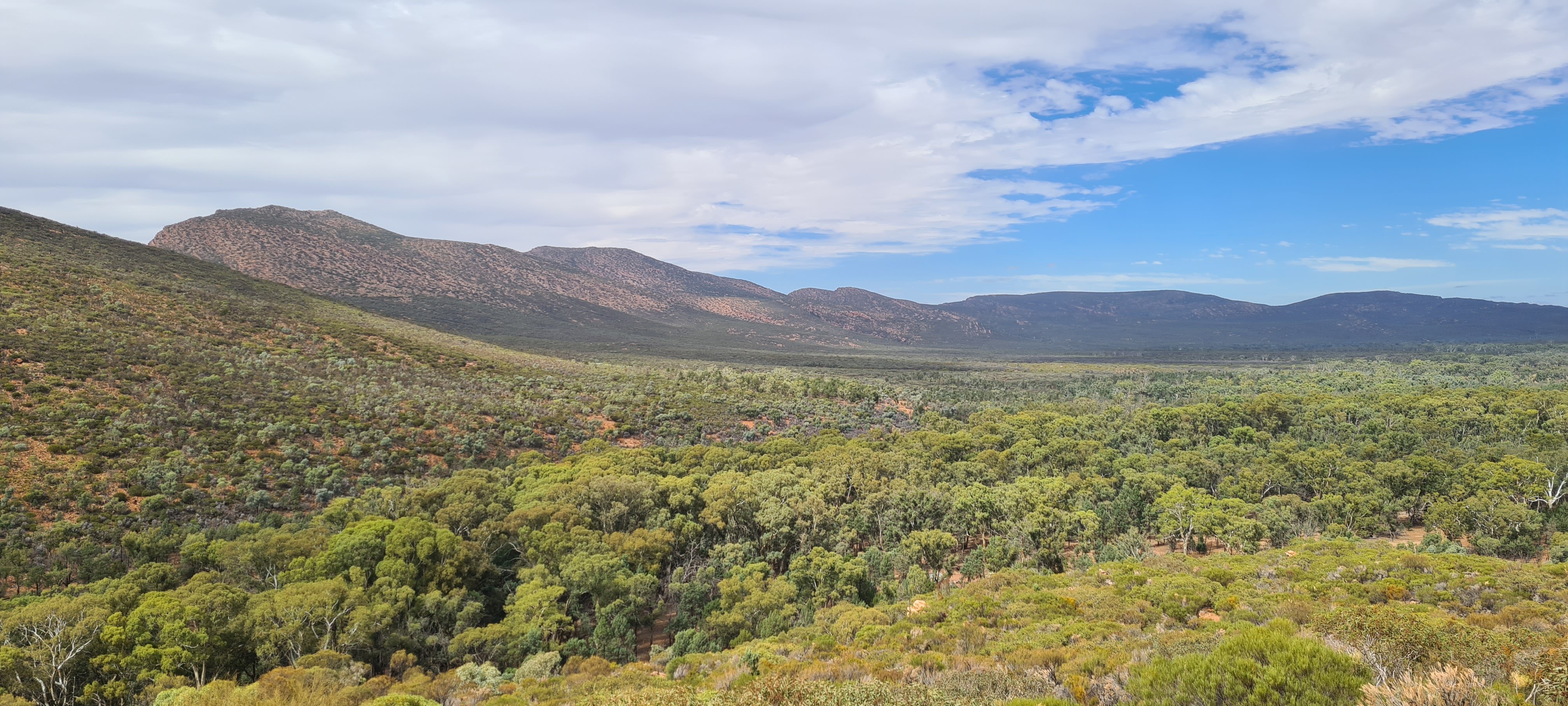 Wilpena Pound In The Camper
