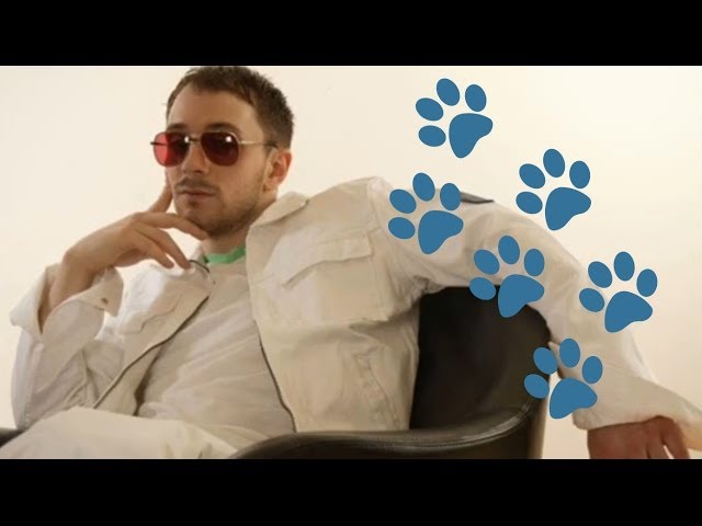 What Ever Happened To Steve From Blues Clues? INTHEFAME