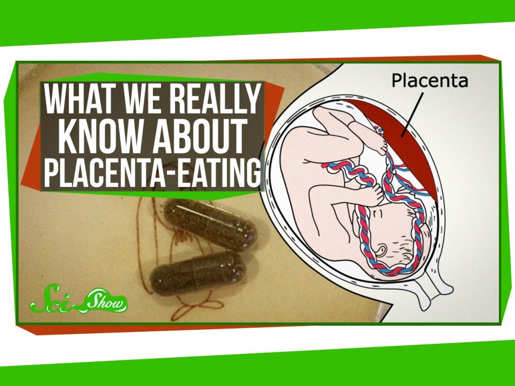 What We Really Know About PlacentaEating INTHEFAME